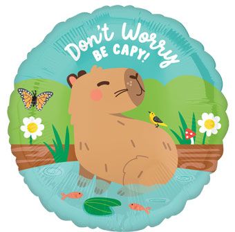 18C CAPYBARA CRAZE